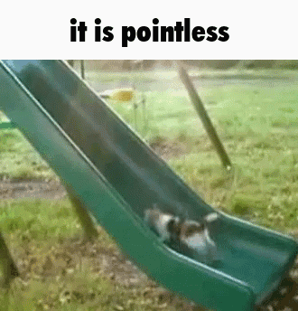 [Image: pointless.gif]