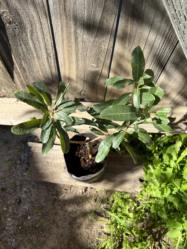 B34A8118-A127-4239-A24F-652E008C40F3