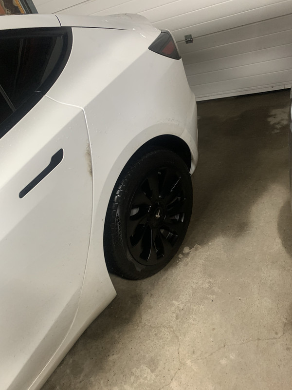 1F1B4003-A6AF-4903-A14A-65823920FE1B