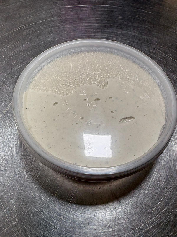 Ensalada Crema de Berenjena