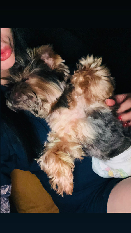 F336396E-6FB3-4808-917E-F65A408C7C06