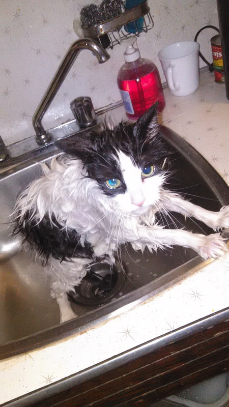 IMG_20151203_064820_zpsfclcxbms