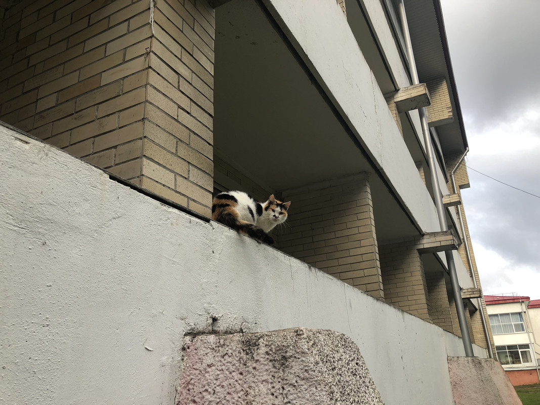 DC847396-3541-4EF7-91F0-0F3BD4A474ED