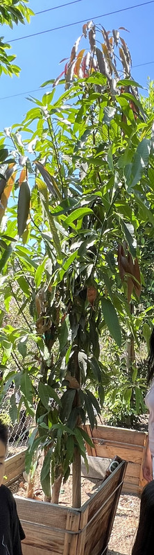 A9F9BC53-986D-47FC-828B-2B692AE18208