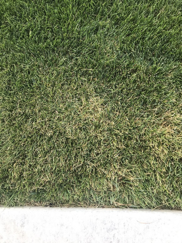 2CF7BD20-7869-4E5D-95E2-5094EDAF433D