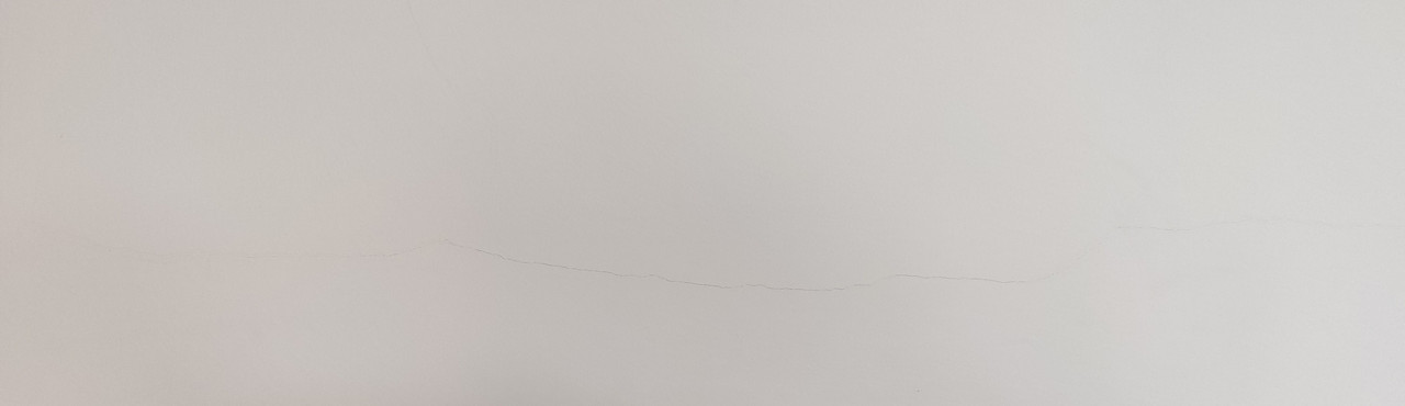 IMG-20210311-114655-01.jpg