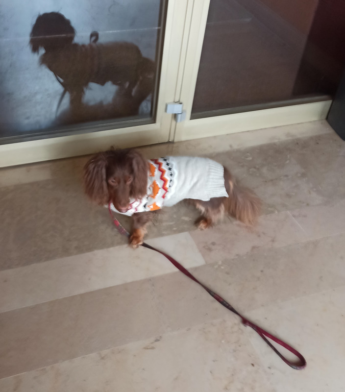 [Image: 1644922844602.jpg]