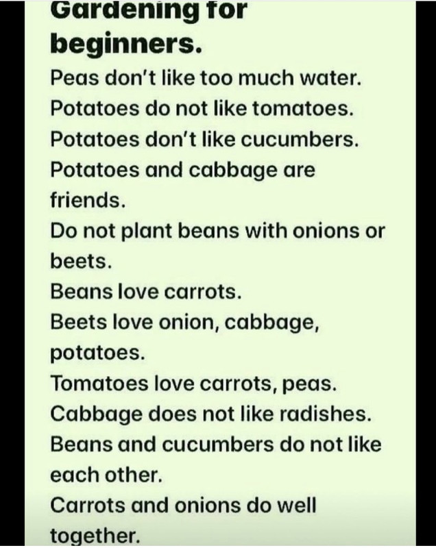 0CB2E7D1-03B5-4D9C-B9B1-0AFD31591AD1