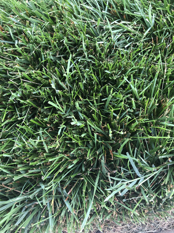 BB35F926-5C0E-4CDA-BB8E-62783B1ABDDD