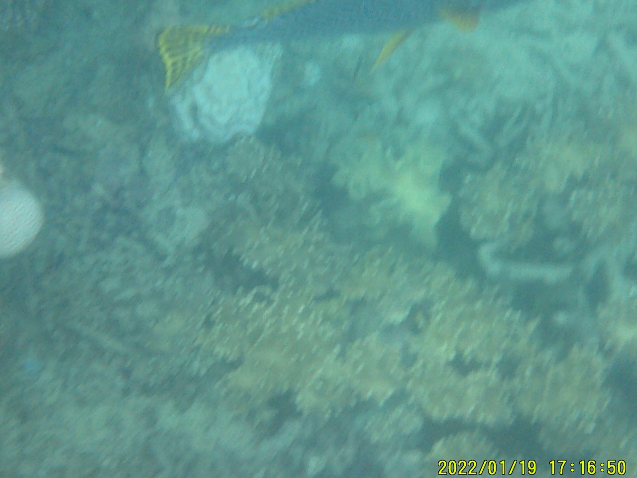 DSCF0033