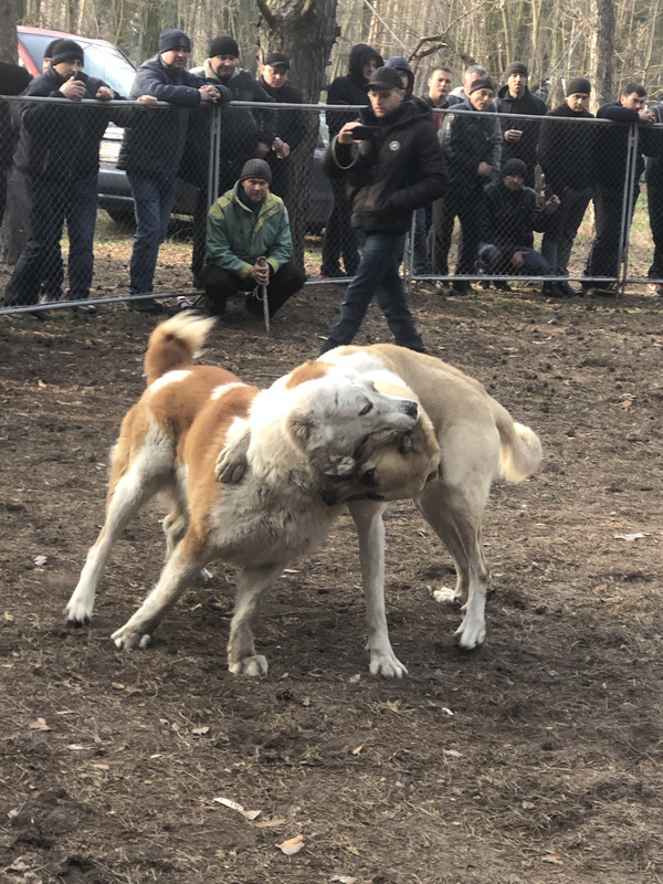 CCC9D9ED-7075-4AEE-BD5F-B45FA7F99155