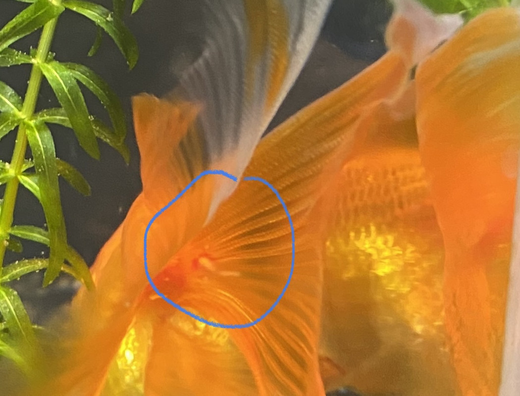 1A596414-4D27-49D1-8DEF-10530BBD0614