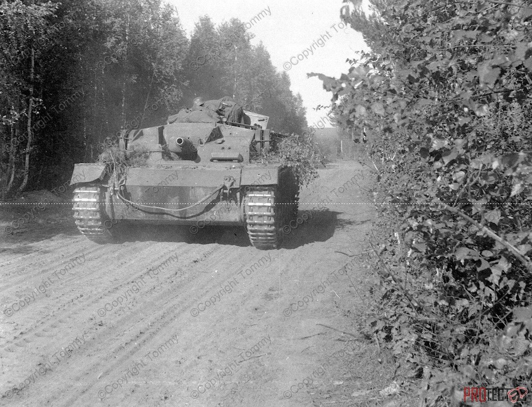 foto Front Sturmgeschütz Vormarsch Ostfront