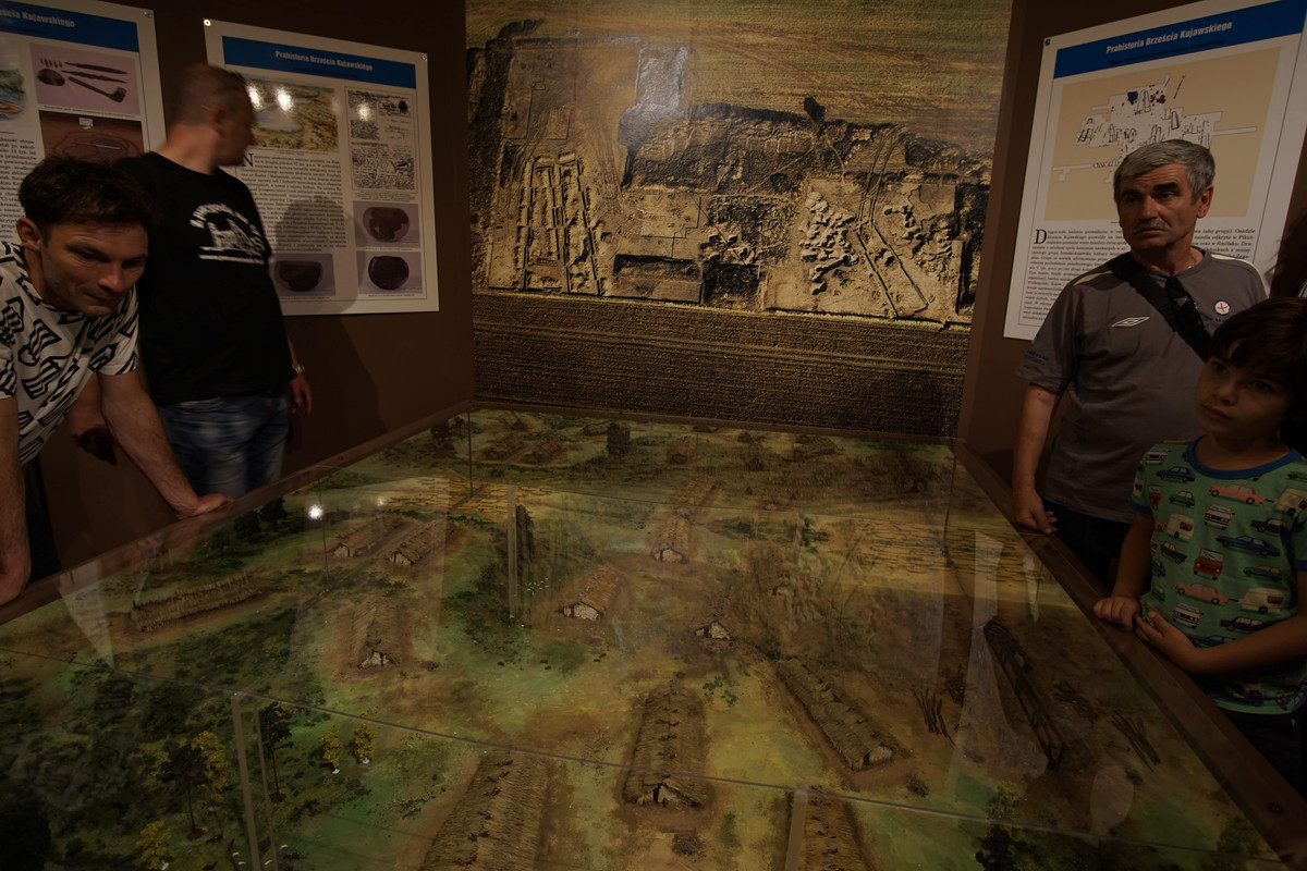 08.04 - DSC02040 (zbychowiec)