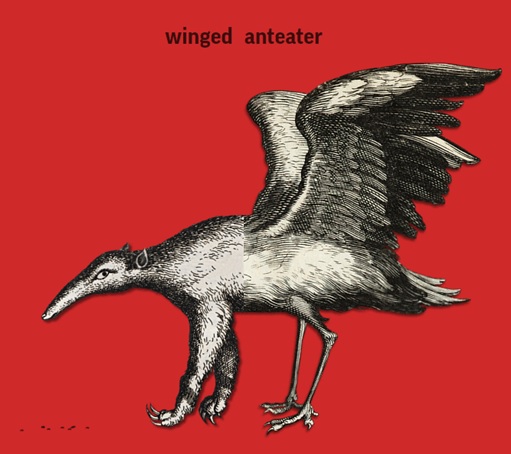 Winged-Anteater.jpg