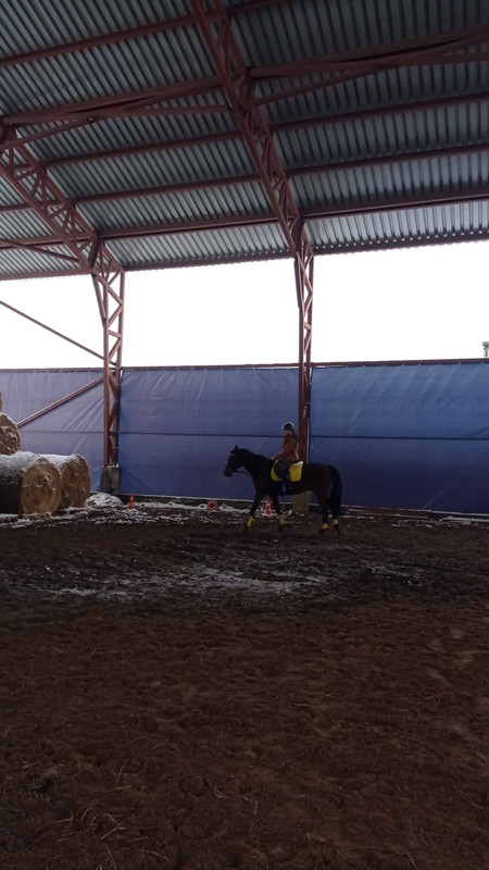 5F207D41-3243-408F-9925-5E9D767C152E