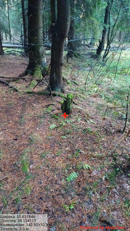 IMG 20251129 012810 028