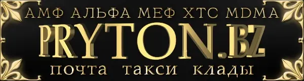 pryton.webp