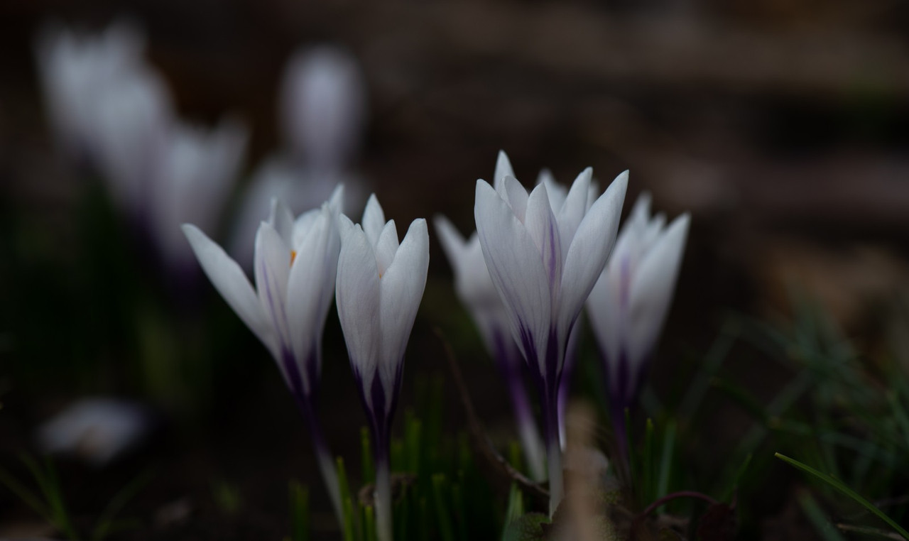 IMG-00e762d90075589869dfcd7ce598e5b9-V
