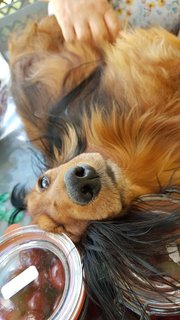 [Image: Resized-20200617-161642-1539.jpg]