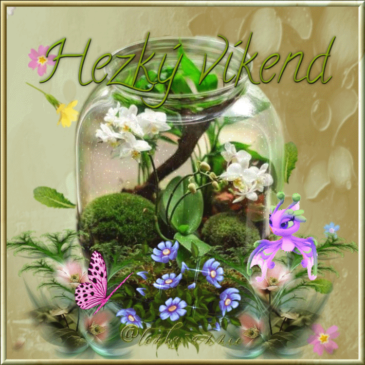Hezky-vikend3
