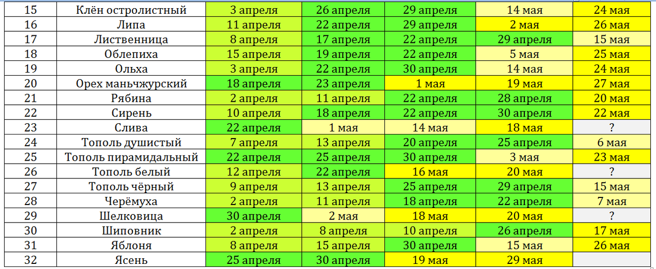 Снимок фенологии 31 мая ч2