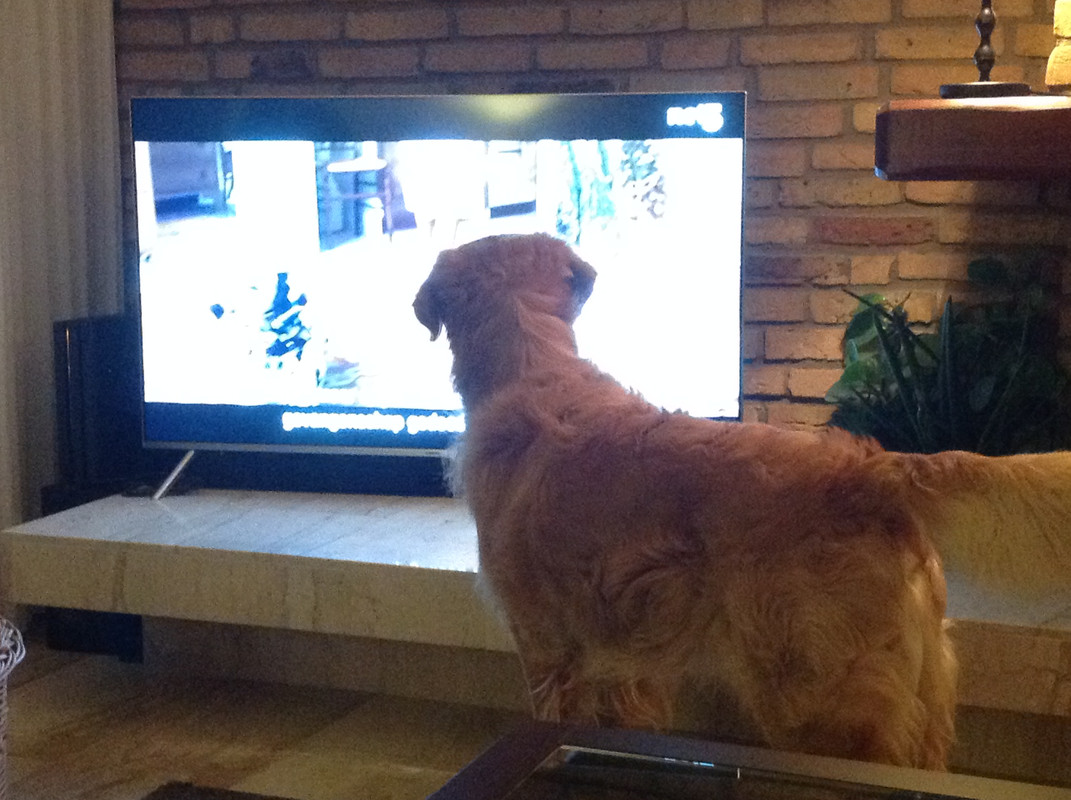 B5D7C8E0-0821-404A-A96F-E7E9E72266D0