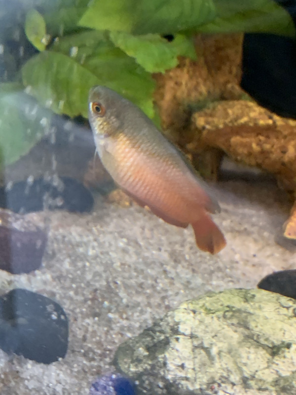 B687900C-38C0-4758-B4E6-3C5CD32D9074