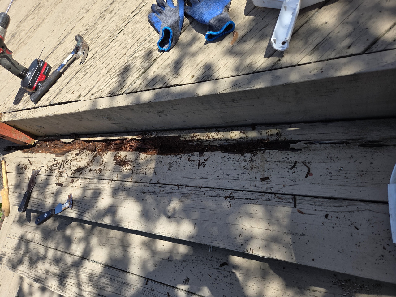 Rot Deck Step clean out 20260407