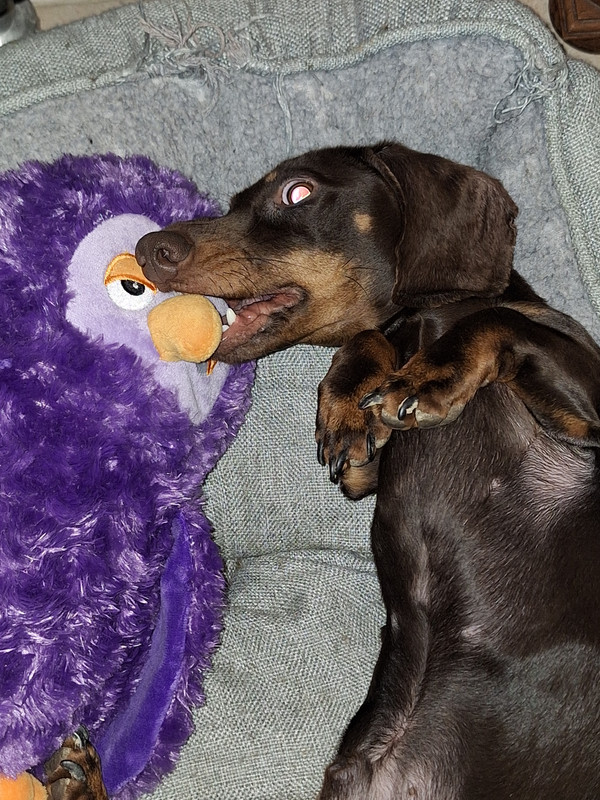 [Image: 20240128-200618.jpg]