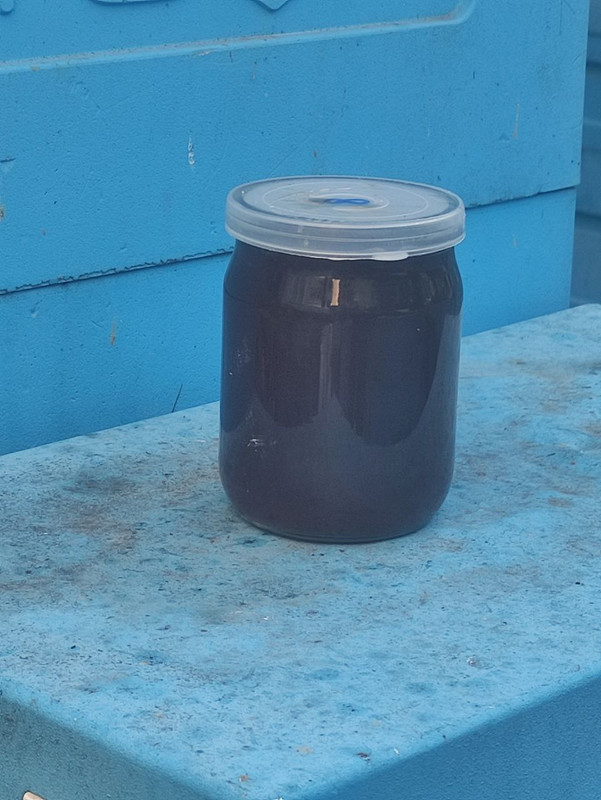 фиолент 2025