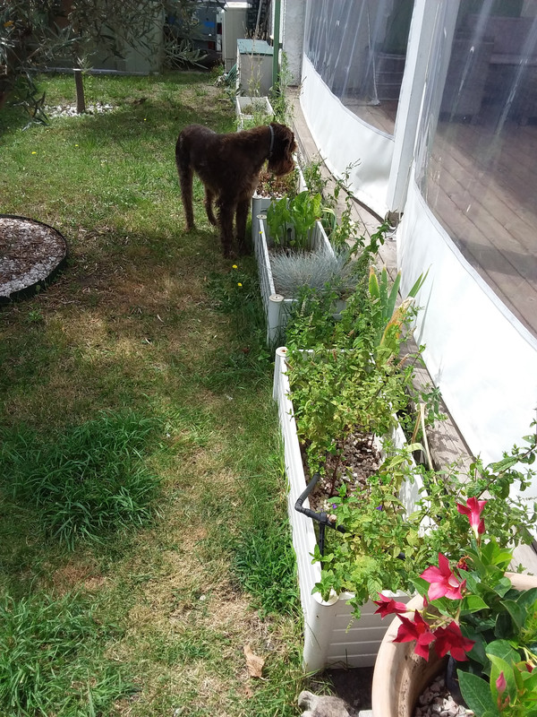 [Image: 20210813-135603.jpg]