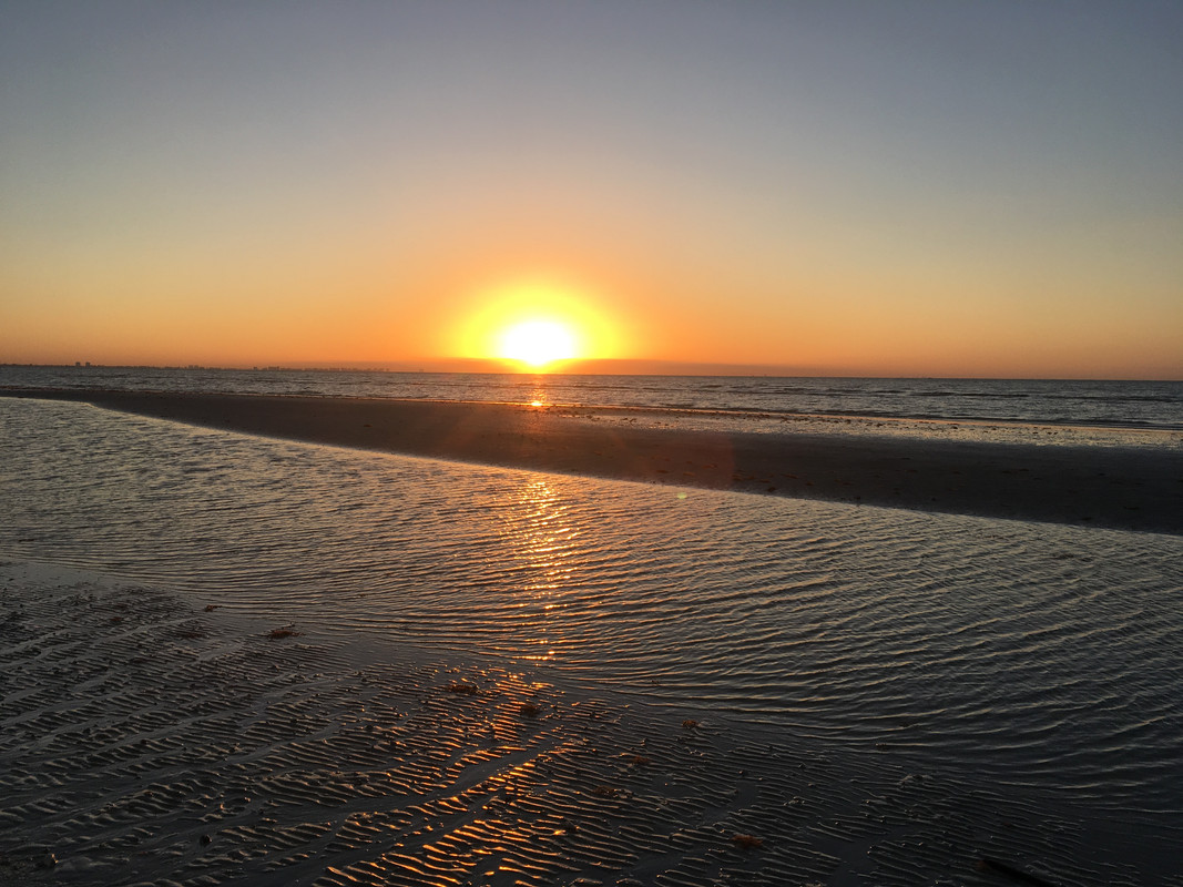 7282918C-4B7C-4A8B-BD39-923D134AF8DD