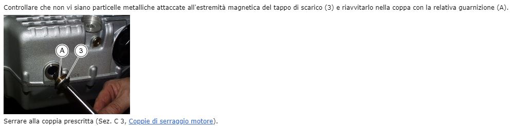 HM 1100S Manutenzione - Olio motore_2