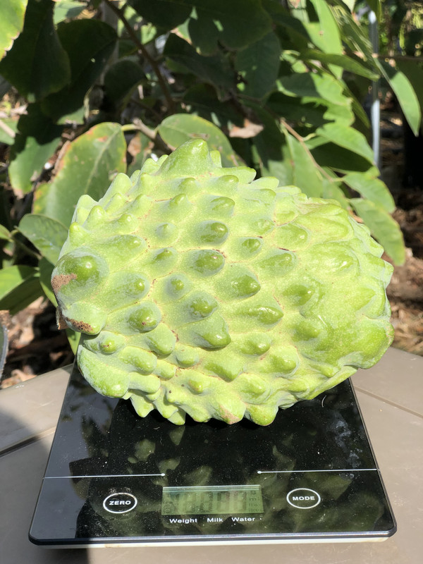 95E023A4-691B-48B8-BC4B-D21FC0025911