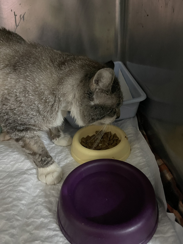 FFA951A5-281D-4347-BFC8-A9221D377D9E