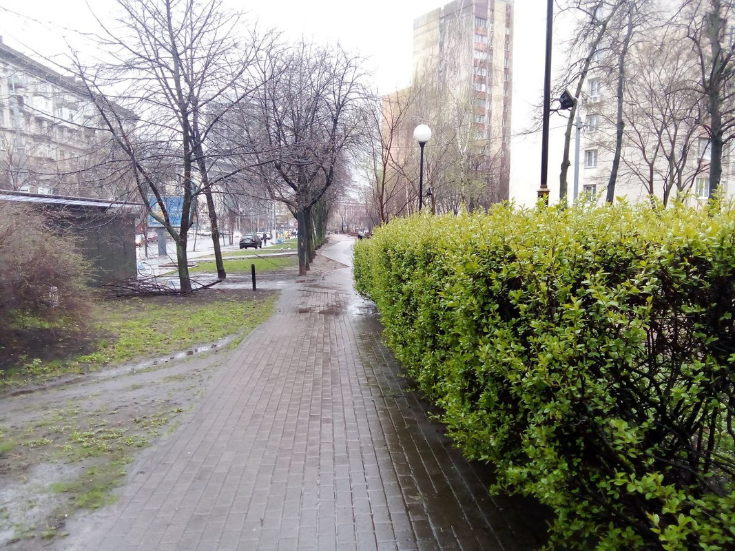 photo_2025-04-01 8.18.16 пп