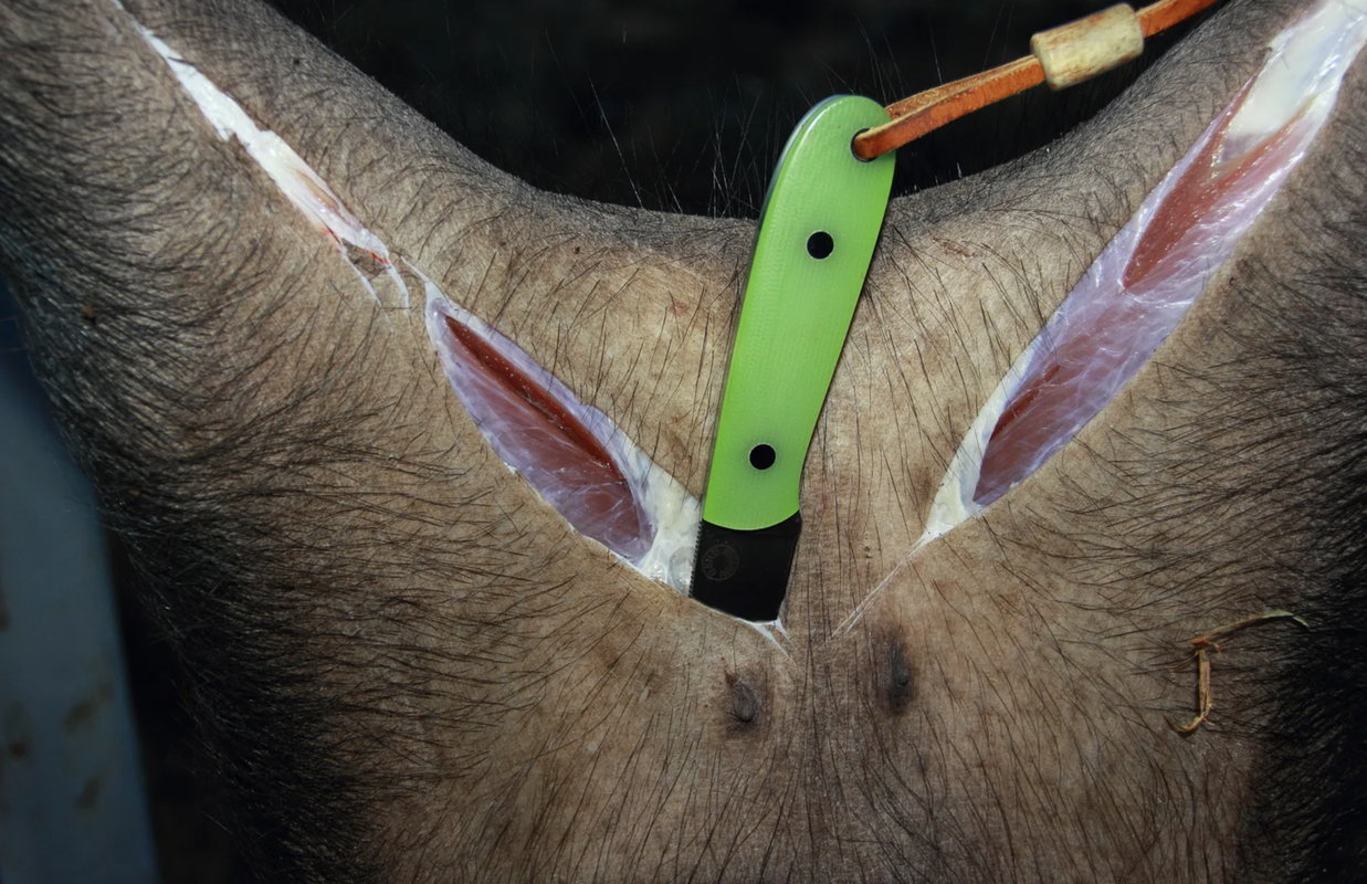 Screen Shot 2025-08-16 at 10.31.58 AM