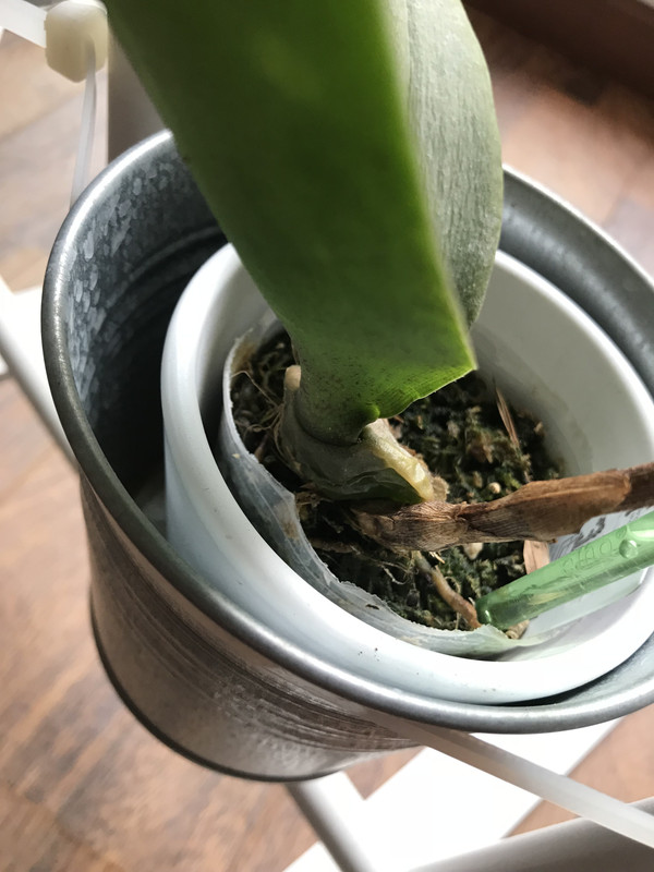 7C813FEA-6602-47D5-B7B1-065F7F9AF494