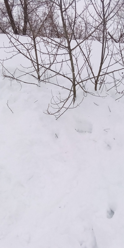 Tn S 7rkklx15a VEf MSi KRse4z Dn Aaw Ju J0i Ph i R3m YSHy IHHj Mu Qbp8N3h M9DElo9Kn5KWXXo Cyh1s ZH2f