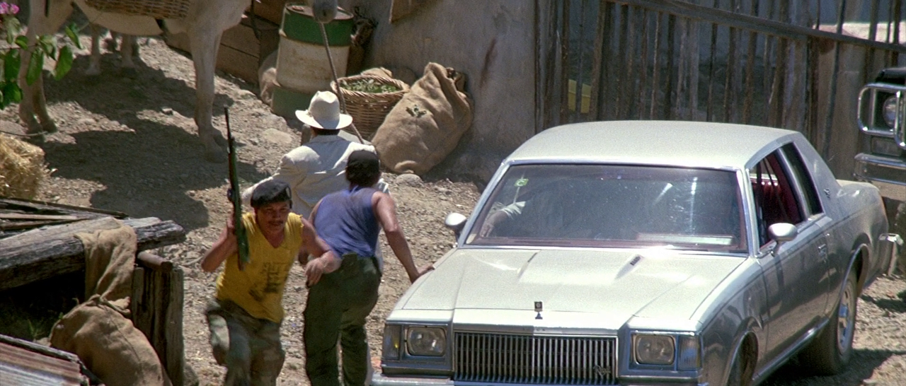 vlcsnap-2023-09-25-19h05m52s917