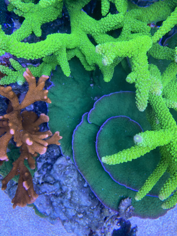 CC03A441-44D3-41A5-9C6D-5FFF08EE38C4