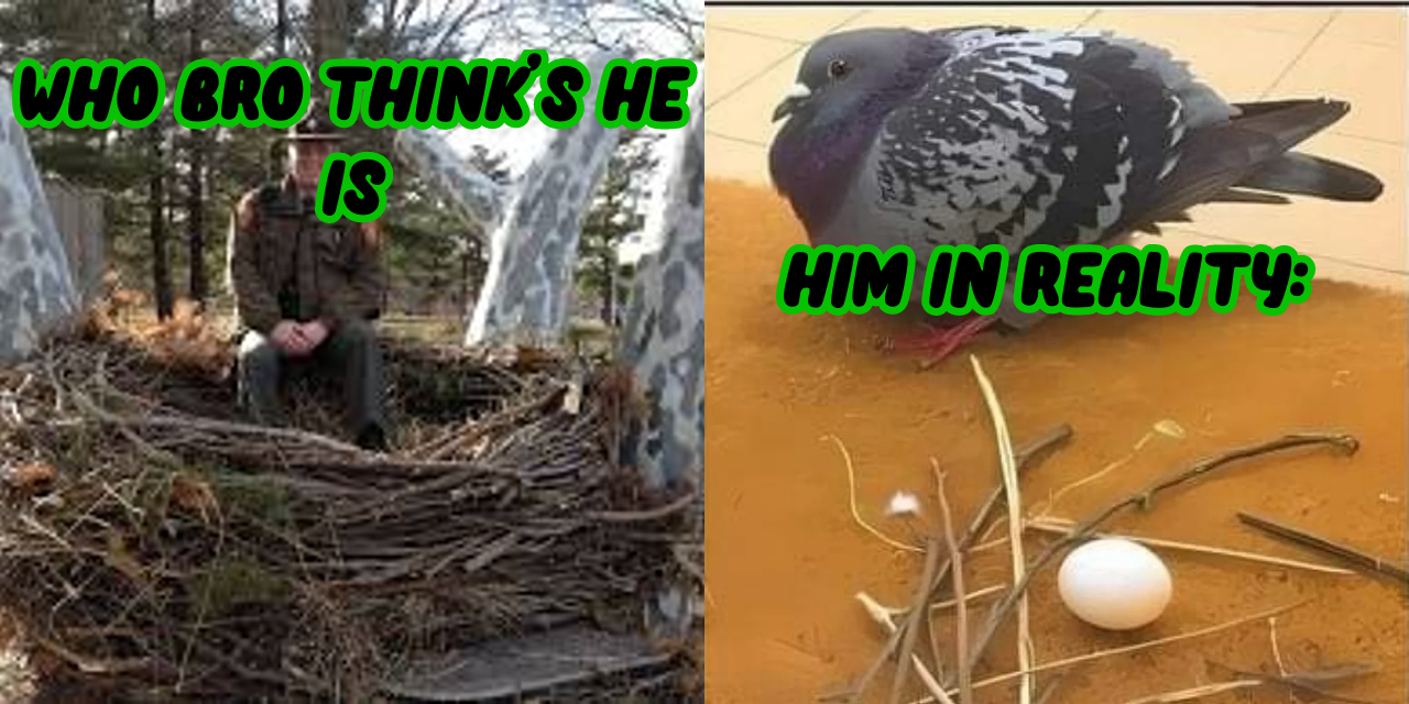 https://i.postimg.cc/k5XD6zQc/eee.jpg