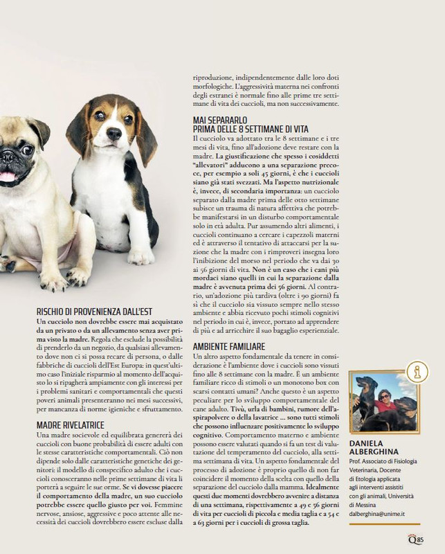 QuattroZampe Mar 2023 (10)