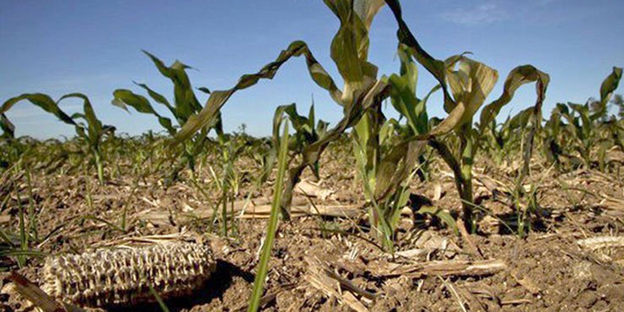 Elecciones 2022 en Durango