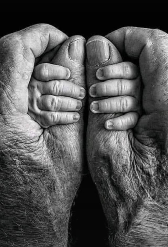 Screenshot_20231024_203200_Pinterest