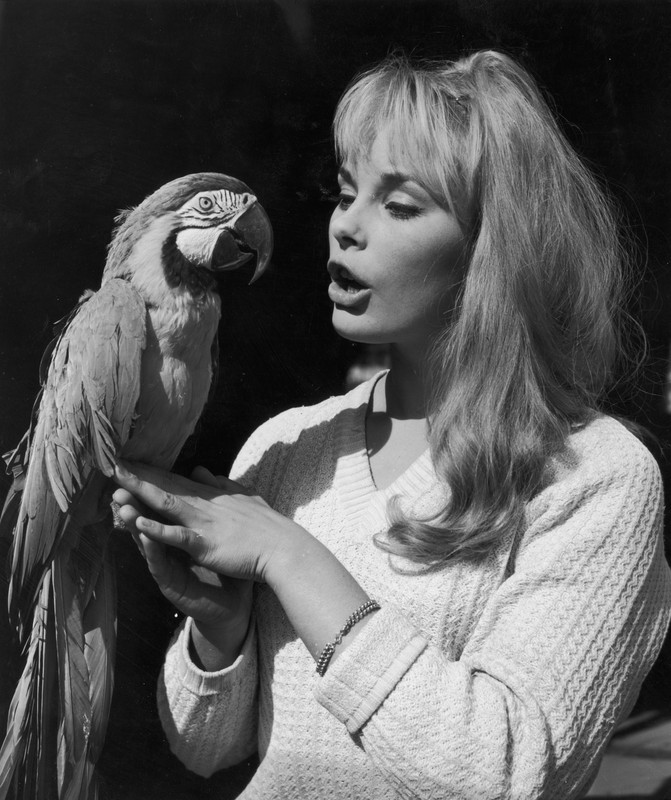 elke_sommer_me43