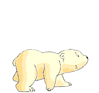 Polarbear.gif