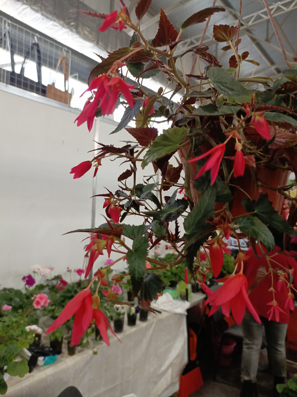 IMG_20250424_151116_635