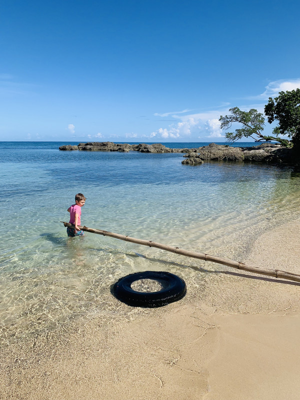 AF231895-3F70-49B4-9F2C-E7C70C33CE27